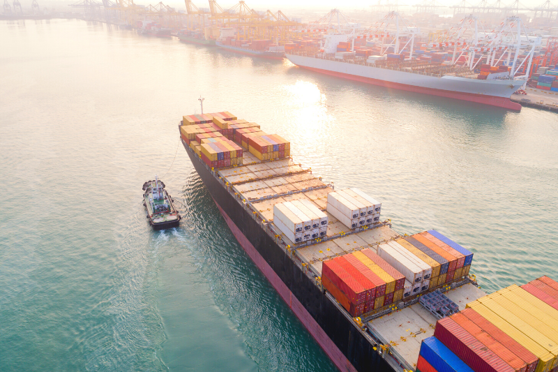 SISCOMEX IMPORTATION